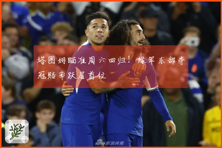 塔图姆瞄准周六回归！绿军东部夺冠赔率跃居首位