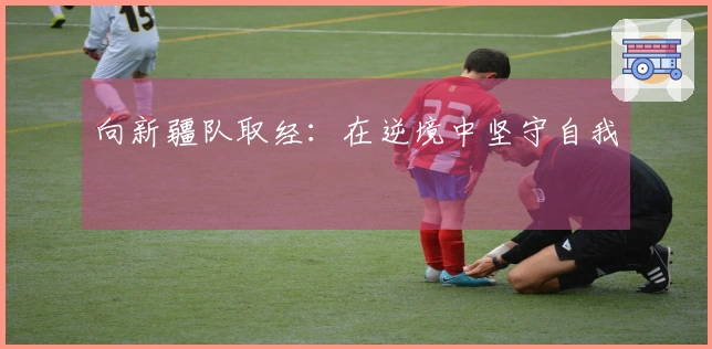 向新疆队取经：在逆境中坚守自我